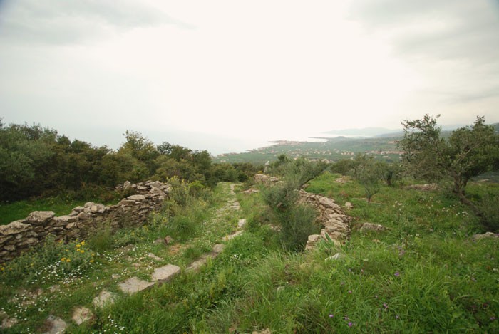 Umgebung-Agios-Nikolaos-(6).jpg