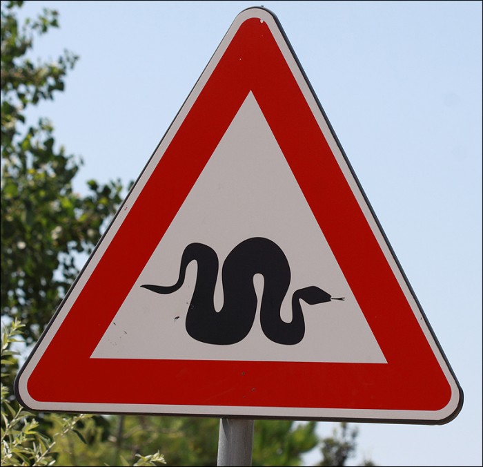 danger-snake.jpg
